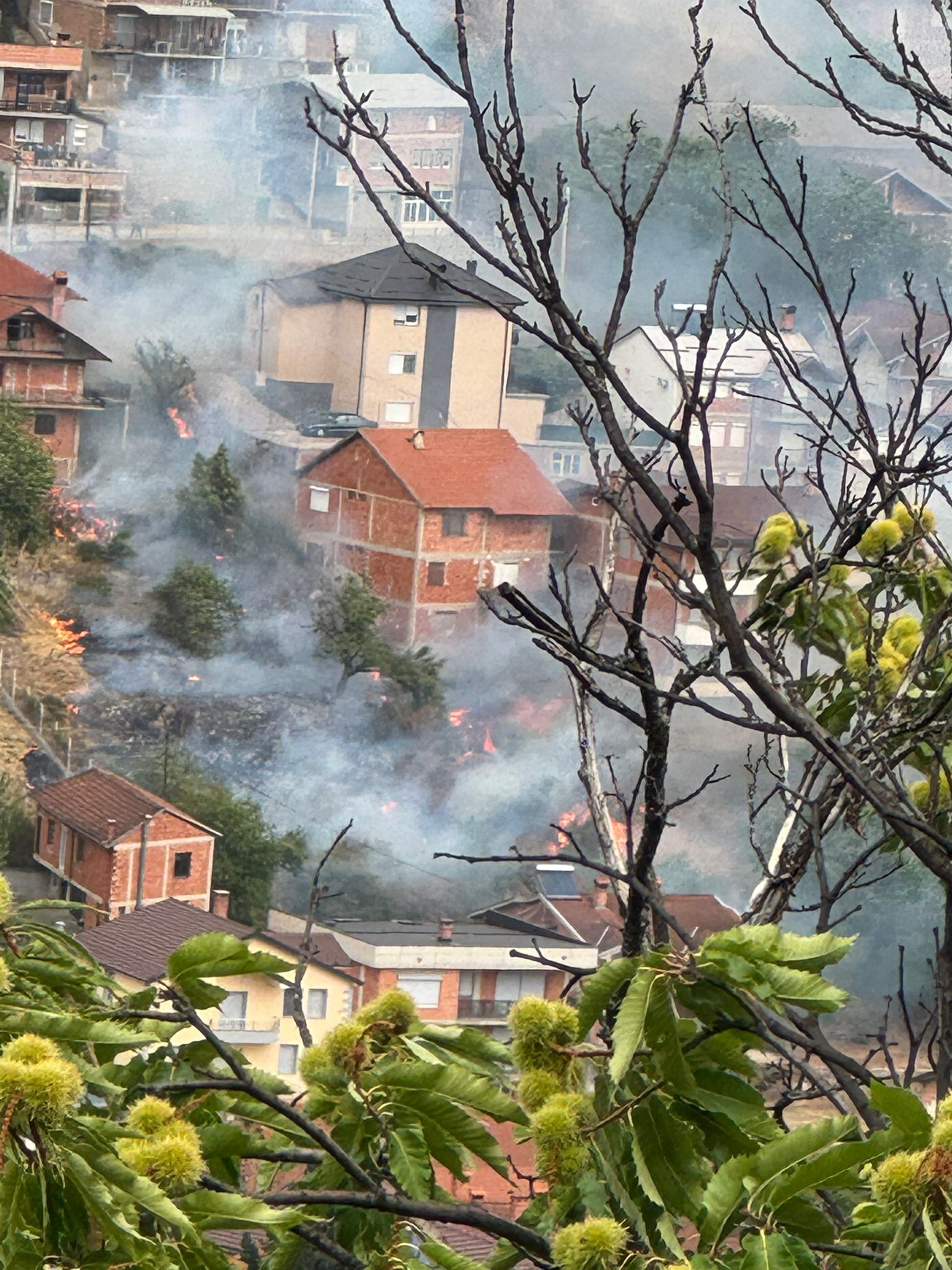 Локализиран пожар во населбата Краста, Лабуништа, спречена голема трагедија