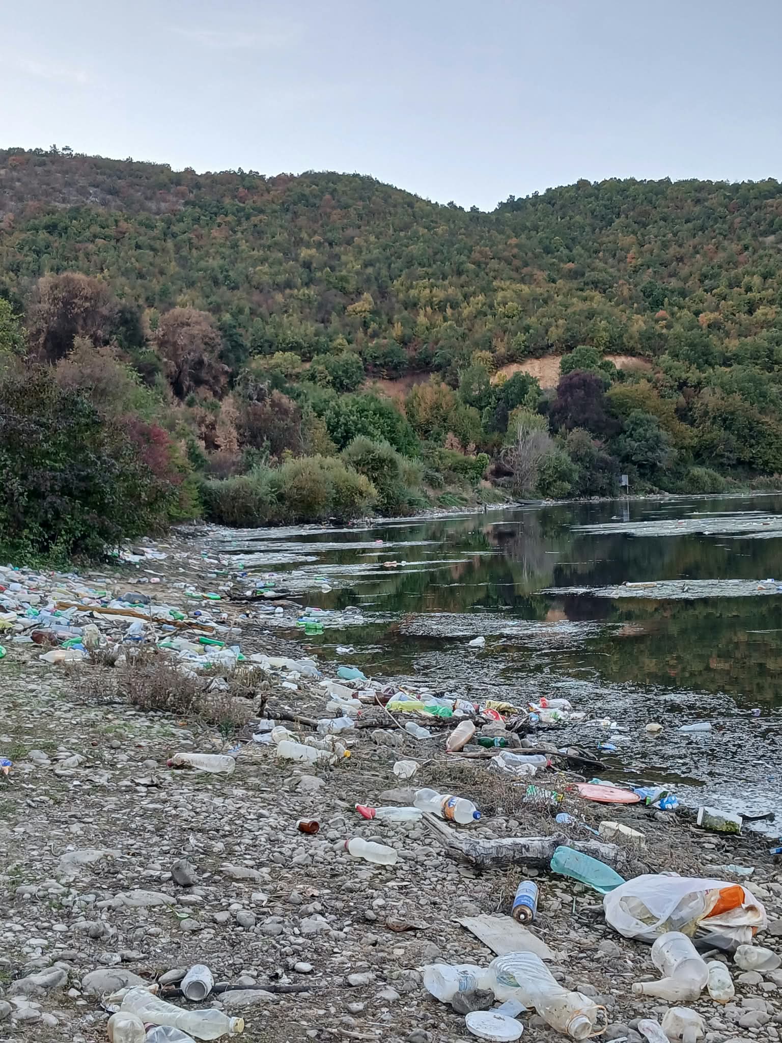 (Фото): ЛАБУНИШТА СЕ ДАВИ ВО ЃУБРЕ: КАДЕ СЕ НАШАТА СОВЕСТ, ВЕРА И ОДГОВОРНОСТ?